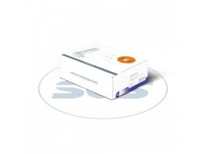 Комплект ксеноновых ламп SVS HB4(9006) 6000K Silver Series